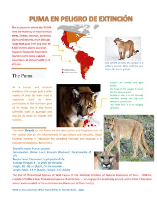 The main threats to the Puma are the destruction and fragmentation of
the habitat due to the advancement of agriculture and livestock, illegal
hunting, hunting in retaliation for attacking livestock and because it is
considered dangerous to humans.
The ecosystems where the PUMA
lives are made up of mountainous
areas, forests, swamps, savannas,
plains and deserts, in an altitude
range that goes from sea level to
4,500 meters above sea level,
however footprints have been
found in some snow-capped
mountains. at almost 5,000 m of
altitude.
The Puma
Cougars are slender and agile
felines.
The head of the cougar is round
and the ears are erect.
Despite its size, it is not normally
classified among the big cats
because it cannot roar.
Like other cats, it is an obligate
carnivore.
Scientific name: Puma concolor
Conservation Status: Least Concern (Reduced) Encyclopedia of
Life
Trophic level: Carnivore Encyclopedia of life
Average lifespan: 8 - 13 years (In the wild)
Height: 60 - 90 cm (Adult, On the shoulder)
Length: Male: 2.4 m (Adult), Female: 2 m (Adult)
Body Mass: Male: 53 - 100 kg (Adult), Female: 29 - 64 kg (Adult)
As a hunter and ambush
predator, the cougar gets a wide
variety of prey. Its main food is
ungulates such as deer,
particularly in the northern part
of its range, but it also hunts
camelids such as guanaco and
species as small as insects and
rodents.
The List of Threatened Species of Wild Fauna of the National Institute of Natural Resources of Peru - INRENA,
considers PUMA a Near Threatened species of extinction. ... In Uruguay it is practically extinct, and in Chile it has been
almost exterminated in the central and southern part of that country.
Work on the extinction of the Puma Jeffrey R. Paredes Peña - 2020
Like almost all cats, the cougar is a
solitary animal. Only mothers and
their cubs live in groups.
 