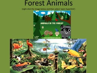 Forest Animals
(right click the image below and then select ‘open hyperlink’)
 