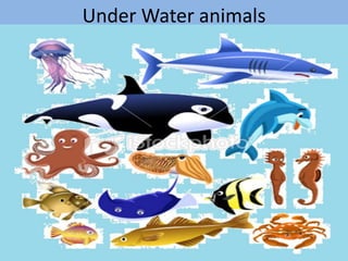 Under Water animals
 