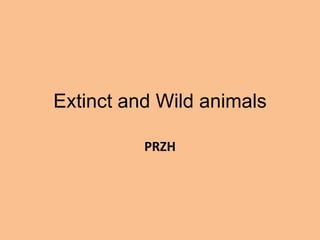 Extinct and Wild animals

          PRZH
 