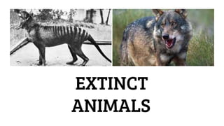 EXTINCT
ANIMALS
 