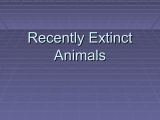 Recently Extinct
   Animals
 