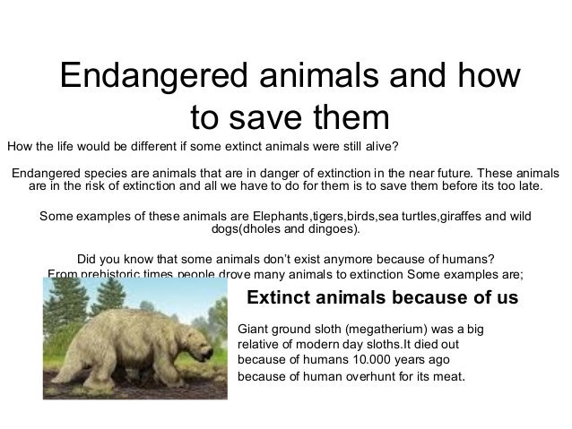 extinct animals