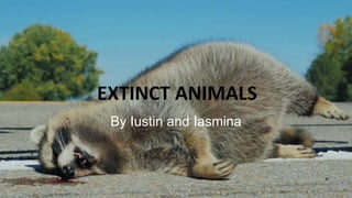 EXTINCT ANIMALS
By Iustin and Iasmina
 