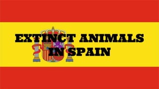 EXTINCT ANIMALS
IN SPAIN
 