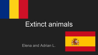 Extinct animals
Elena and Adrian L.
 