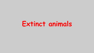 Extinct animals
 