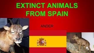 EXTINCT ANIMALS
FROM SPAIN
ANDER
 