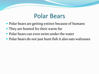 Polar Bears
 Polar bears are getting extinct because of humans
 They are hunted for their warm fur
 Polar bears can eve...