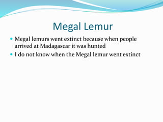 Megal Lemur
 Megal lemurs went extinct because when people
arrived at Madagascar it was hunted
 I do not know when the M...