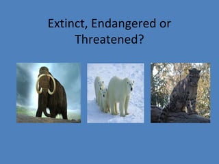 Extinct, Endangered or
Threatened?
 