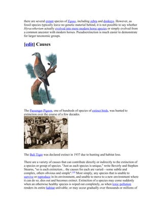 there are several extant species of Equus, including zebra and donkeys. However, as
fossil species typically leave no genetic material behind, it is not possible to say whether
Hyracotherium actually evolved into more modern horse species or simply evolved from
a common ancestor with modern horses. Pseudoextinction is much easier to demonstrate
for larger taxonomic groups.
[edit] Causes
The Passenger Pigeon, one of hundreds of species of extinct birds, was hunted to
extinction over the course of a few decades.
The Bali Tiger was declared extinct in 1937 due to hunting and habitat loss.
There are a variety of causes that can contribute directly or indirectly to the extinction of
a species or group of species. "Just as each species is unique," write Beverly and Stephen
Stearns, "so is each extinction... the causes for each are varied—some subtle and
complex, others obvious and simple".[10]
Most simply, any species that is unable to
survive or reproduce in its environment, and unable to move to a new environment where
it can do so, dies out and becomes extinct. Extinction of a species may come suddenly
when an otherwise healthy species is wiped out completely, as when toxic pollution
renders its entire habitat unlivable; or may occur gradually over thousands or millions of
 