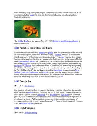 other times they may merely outcompete vulnerable species for limited resources. Vital
resources including water and food can also be limited during habitat degradation,
leading to extinction.
The Golden Toad was last seen on May 15, 1989. Decline in amphibian populations is
ongoing worldwide.
[edit] Predation, competition, and disease
Humans have been transporting animals and plants from one part of the world to another
for thousands of years, sometimes deliberately (e.g., livestock released by sailors onto
islands as a source of food) and sometimes accidentally (e.g., rats escaping from boats).
In most cases, such introductions are unsuccessful, but when they do become established
as an invasive alien species, the consequences can be catastrophic. Invasive alien species
can affect native species directly by eating them, competing with them, and introducing
pathogens or parasites that sicken or kill them or, indirectly, by destroying or degrading
their habitat. Human populations may themselves act as invasive predators. According to
the "overkill hypothesis", the swift extinction of the megafauna in areas such as New
Zealand, Australia, Madagascar and Hawaii resulted from the sudden introduction of
human beings to environments full of animals that had never seen them before, and were
therefore completely unadapted to their predation techniques.[21]
[edit] Coextinction
Main article: Coextinction
Coextinction refers to the loss of a species due to the extinction of another; for example,
the extinction of parasitic insects following the loss of their hosts. Coextinction can also
occur when a species loses its pollinator, or to predators in a food chain who lose their
prey. "Species coextinction is a manifestation of the interconnectedness of organisms in
complex ecosystems ... While coextinction may not be the most important cause of
species extinctions, it is certainly an insidious one".[22]
Coextinction is especially common
when a keystone species goes extinct.
[edit] Global warming
Main article: Global warming
 
