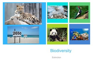+
Biodiversity
Extinction
 