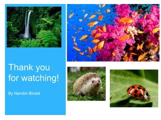 +
Thank you
for watching!
By Nandini Bindal
 