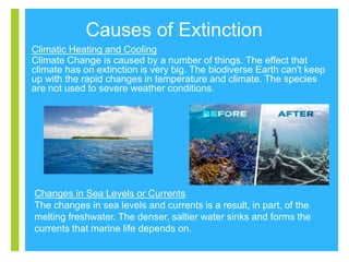+
Causes of Extinction
Climatic Heating and Cooling
Climate Change is caused by a number of things. The effect that
climat...