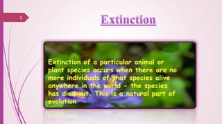 Extinction - Biodiversity and conservation | PPTX
