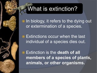 Extinction Pptx