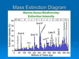 Mass Extinction Diagram
 