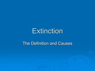 Extinction
The Definition and Causes
 