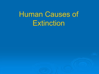 Human Causes of
Extinction
 