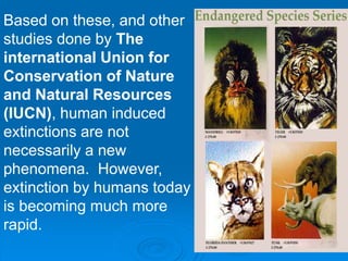 Based on these, and other
studies done by The
international Union for
Conservation of Nature
and Natural Resources
(IUCN), human induced
extinctions are not
necessarily a new
phenomena. However,
extinction by humans today
is becoming much more
rapid.
 