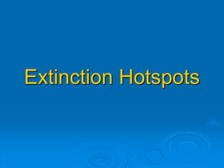 Extinction Hotspots
 