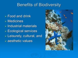 Benefits of Biodiversity
 Food and drink
 Medicines
 Industrial materials
 Ecological services
 Leisurely, cultural, and
 aesthetic values
 