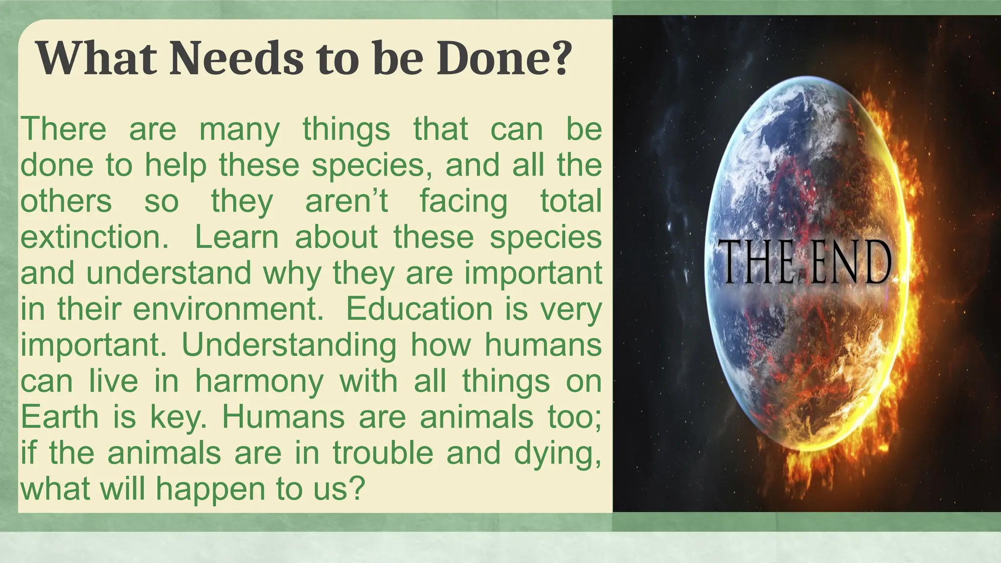Science Grade 9 species extinction lesson | PPTX