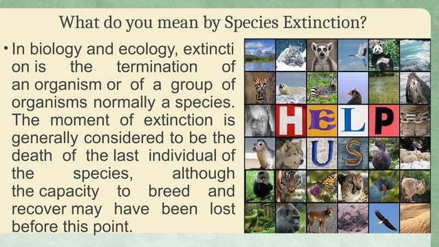 Science Grade 9 species extinction lesson | PPTX