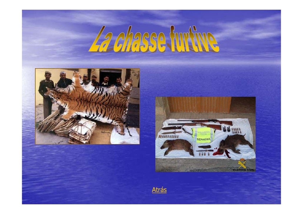 Extinction Animaux