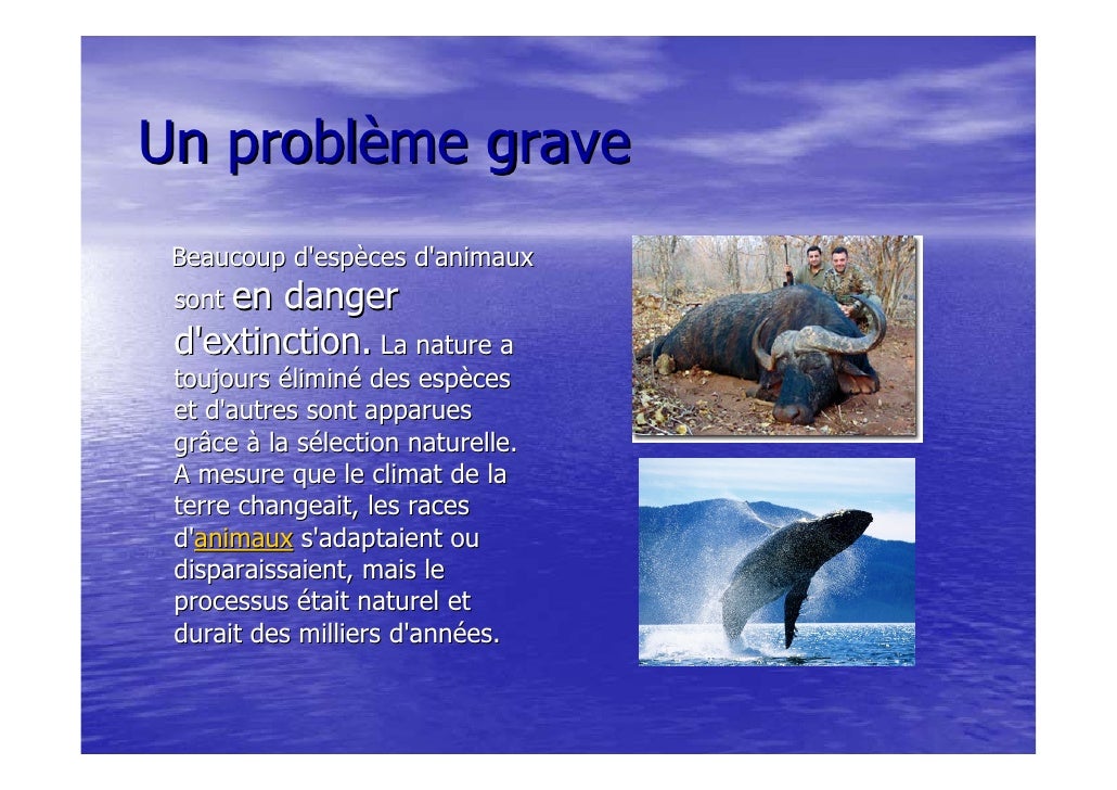 Extinction Animaux