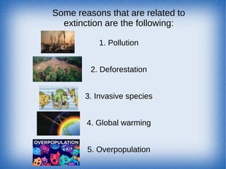 Extinction and loss of biodiversity | PDF