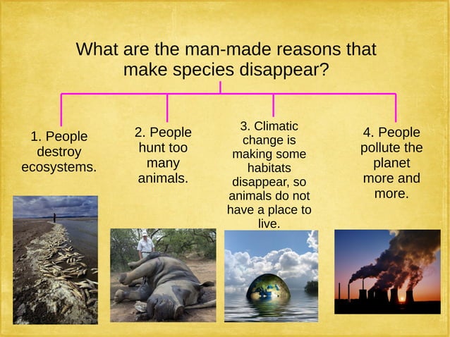 Extinction And Loss Of Biodiversity Pdf