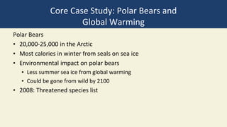 Core Case Study: Polar Bears and
Global Warming
Polar Bears
• 20,000-25,000 in the Arctic
• Most calories in winter from seals on sea ice
• Environmental impact on polar bears
• Less summer sea ice from global warming
• Could be gone from wild by 2100
• 2008: Threatened species list
 
