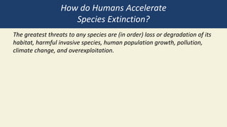 Extinction causes and consequences .pptx