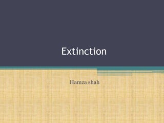 Extinction
Hamza shah
 