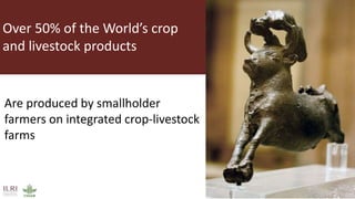 The role of livestock in developing countries: Misperceptions, facts and consequences