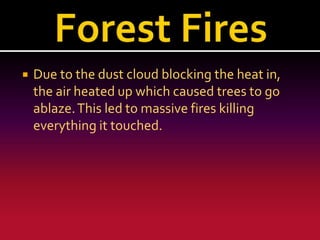 

Due to the dust cloud blocking the heat in,
the air heated up which caused trees to go
ablaze. This led to massive fires killing
everything it touched.

 