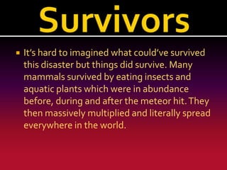

It’s hard to imagined what could’ve survived
this disaster but things did survive. Many
mammals survived by eating insects and
aquatic plants which were in abundance
before, during and after the meteor hit. They
then massively multiplied and literally spread
everywhere in the world.

 