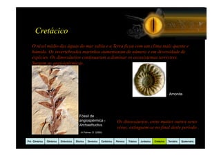 Cretácico
    O nível médio das águas do mar subiu e a Terra ficou com um clima mais quente e
    húmido. Os invertebrados marinhos aumentaram de número e em diversidade de
    espécies. Os dinossáurios continuaram a dominar os ecossistemas terrestres.
    Surgem as angiospérmicas.




                                                                                                                          Amonite




                                            Fóssil de
                                            angiospérmica -                  Os dinossáurios, entre muitos outros seres
                                            Archaefructus.
                                                                             vivos, extinguem-se no final deste período .
                                              In Palmer, D. (2000)


Pré - Câmbrico   Câmbrico   Ordovicico   Silurico   Devónico     Carbónico   Pérmico   Triásico   Jurássico   Cretácico   Terciário   Quaternário
 
