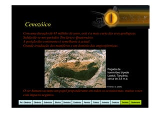 Cenozóico
    Com uma duração de 65 milhões de anos, esta é a mais curta das eras geológicas.
    Subdivide-se nos períodos Terciário e Quaternário.
    A posição dos continentes é semelhante à actual.
    Grande irradiação dos mamíferos e um domínio das angiospérmicas.




                                                                                                       Pegada de
                                                                                                       hominídeo bípede
                                                                                                       Laetoli, Tanzânia,
                                                                                                       cerca de 3,6 m.a.

                                                                                                     In Palmer, D. (2000)

    O ser humano assume um papel preponderante em todos os ecossistemas, muitas vezes
    com impacto negativo.

Pré - Câmbrico   Câmbrico   Ordovicico   Silurico   Devónico   Carbónico   Pérmico   Triásico   Jurássico   Cretácico       Terciário   Quaternário
 
