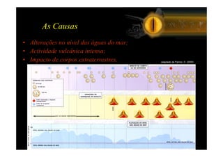 As Causas
•  Alterações no nível das águas do mar;
•  Actividade vulcânica intensa;
•  Impacto de corpos extraterrestres.      adaptado de Palmer, D. (2000)
 