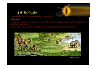 A 6ª Extinção
  Encontramo-nos a viver uma extinção em massa?
Duas fases:
a) fase um – iniciou-se quando os primeiros hominídeos se dispersaram pelo mundo há cerca
de 100 mil anos atrás.
b) fase dois – teve início há 10 mil anos com a introdução das práticas agrícolas.




                                                                    In Palmer, D. (2000)
 