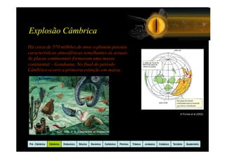 Explosão Câmbrica
Há cerca de 570 milhões de anos o planeta possuía
características atmosféricas semelhantes às actuais.
As placas continentais formavam uma massa
continental – Gonduana. No final do período
Câmbrico ocorre a primeira extinção em massa.




                                                                                                                                  In Purves et al (2002)




                      Autor: Miller, D. W. In página web do Smithsonian




Pré - Câmbrico   Câmbrico   Ordovicico    Silurico   Devónico     Carbónico   Pérmico   Triásico   Jurássico   Cretácico   Terciário   Quaternário
 