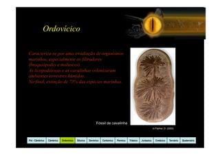 Ordovícico

Caracteriza-se por uma irradiação de organismos
marinhos, especialmente os filtradores
(braquiópodes e moluscos).
As licopodiáceas e as cavalinhas colonizaram
ambientes terrestres húmidos.
No final, extinção de 75% das espécies marinhas.




                                                          Fóssil de cavalinha
                                                                                                            In Palmer, D. (2000)




Pré - Câmbrico   Câmbrico   Ordovicico   Silurico   Devónico   Carbónico   Pérmico   Triásico   Jurássico     Cretácico    Terciário   Quaternário
 