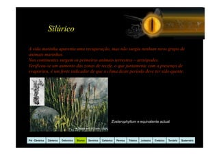 Silúrico

A vida marinha aparenta uma recuperação, mas não surgiu nenhum novo grupo de
animais marinhos.
Nos continentes surgem os primeiros animais terrestres – artrópodes.
Verificou-se um aumento das zonas de recife, o que juntamente com a presença de
evaporitos, é um forte indicador de que o clima deste período deve ter sido quente.




                                                                         Zosterophyllum e equivalente actual
                                         In página web UCDavis, (2004)




Pré - Câmbrico   Câmbrico   Ordovicico    Silurico   Devónico   Carbónico   Pérmico   Triásico   Jurássico   Cretácico   Terciário   Quaternário
 