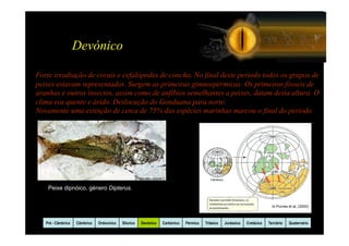 Devónico

Forte irradiação de corais e cefalópodes de concha. No final deste período todos os grupos de
peixes estavam representados. Surgem as primeiras gimnospérmicas. Os primeiros fósseis de
aranhas e outros insectos, assim como de anfíbios semelhantes a peixes, datam desta altura. O
clima era quente e árido. Deslocação do Gonduana para norte.
Novamente uma extinção de cerca de 75% das espécies marinhas marcou o final do período.




    Peixe dipnóico, género Dipterus.


                                                                                                                             In Purves et al, (2002)



   Pré - Câmbrico   Câmbrico   Ordovicico   Silurico   Devónico   Carbónico   Pérmico   Triásico   Jurássico   Cretácico   Terciário   Quaternário
 