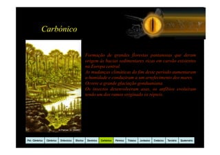 Carbónico

                                                       Formação de grandes florestas pantanosas que deram
                                                       origem às bacias sedimentares ricas em carvão existentes
                                                       na Europa central.
                                                       As mudanças climáticas do fim deste período aumentaram
                                                       a humidade e conduziram a um arrefecimento dos mares.
                                                       Ocorre a grande glaciação gonduaniana.
                                                       Os insectos desenvolveram asas, os anfíbios evoluíram
                                                       tendo um dos ramos originado os répteis.




                            In Palmer, D. (2000)



Pré - Câmbrico   Câmbrico    Ordovicico     Silurico    Devónico   Carbónico   Pérmico   Triásico   Jurássico   Cretácico   Terciário   Quaternário
 