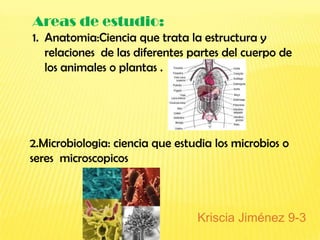 Areas de estudio:
1. Anatomia:Ciencia que trata la estructura y
   relaciones de las diferentes partes del cuerpo de
   los animales o plantas .




2.Microbiologia: ciencia que estudia los microbios o
seres microscopicos



                                 Kriscia Jiménez 9-3
 